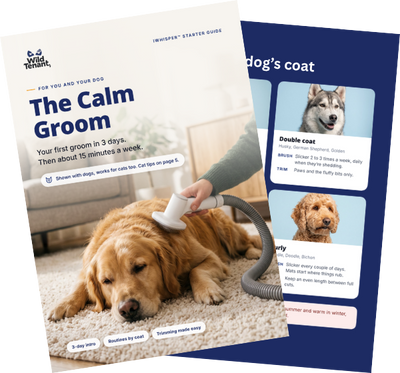 The Calm Groom guide