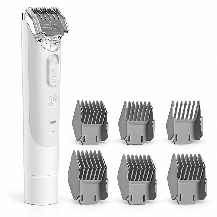 Clipper + 6 guards